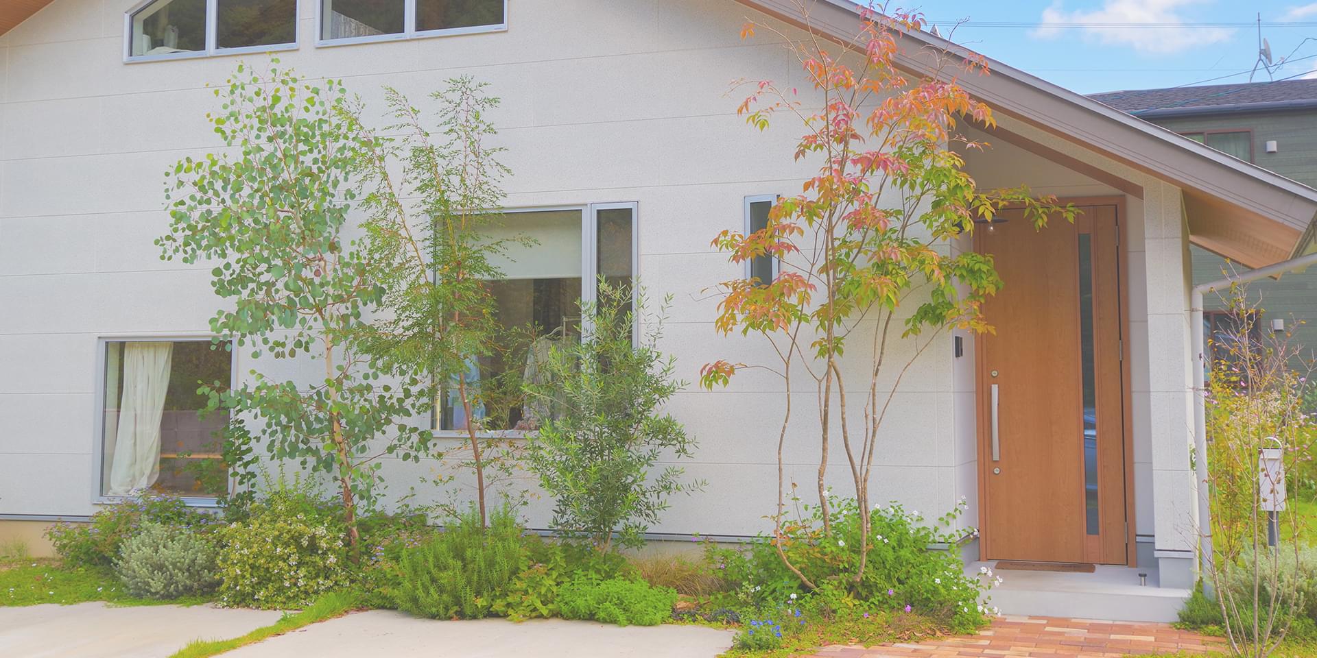 有限会社アドシステム