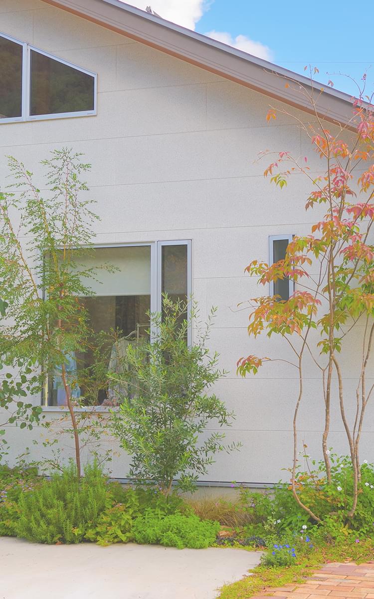 有限会社アドシステム