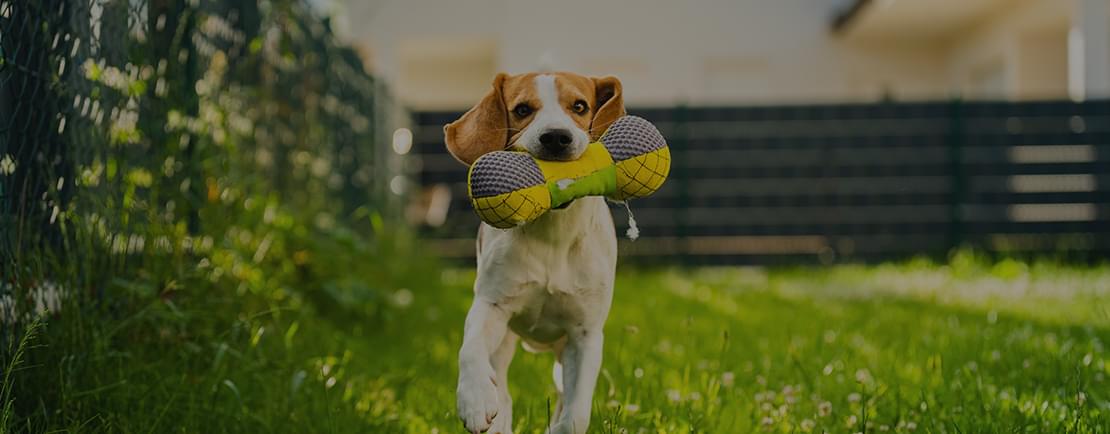 プレイガーデン